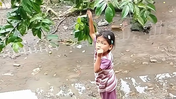 Về kể đang hái ổi thì bị ma trêu mà không ai tin