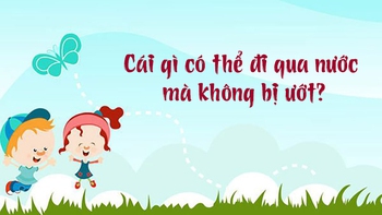 Cái gì có thể đi qua nước mà không bị ướt?