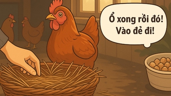 Thành ngữ châm biếm những kẻ chỉ biết ăn sẵn này là gì?