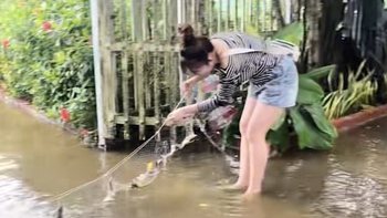 Cô gái ở miền Tây giăng lưới trong sân được mẻ cá to mùa nước nổi