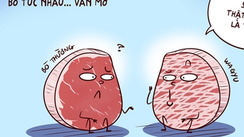 Tâm sự thịt bò - thịt trâu, nghe mà tức