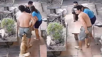 Bỉ ngạn '3 mũi 900.000 đồng' vì tin tưởng 'chó nhà em ngoan lắm'