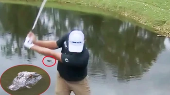 Fan thót tim khi golfer bước xuống hồ cá sấu đánh bóng