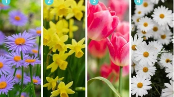 Quiz: Khả năng kiểm soát cảm xúc của bạn đến đâu?