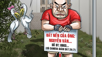 Giải pháp 'bù nhìn' chống xây nhà nhầm đất