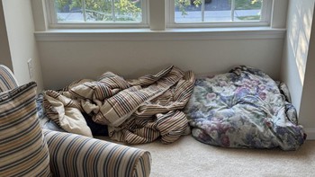 Mắt cú vọ mới thấy con mèo ẩn giấu ở đâu
