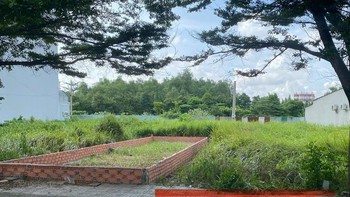 Thông báo tổ chức đấu giá tài sản