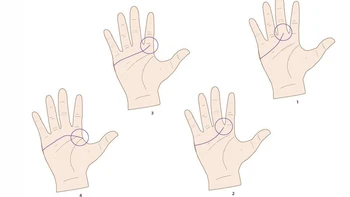 Quiz: Bạn có tố chất lãnh đạo bẩm sinh hay là người có trái tim nhân hậu?