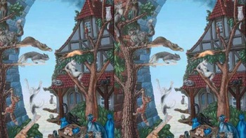 Quiz: Bạn có khả năng giao tiếp và đàm phán tốt hay là người kín đáo