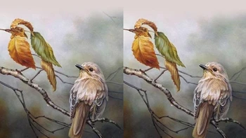 Quiz: Bạn là chỗ dựa vững chắc cho bạn đời hay là người lệ thuộc