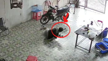 Thanh niên té sấp mặt vẫn cố giữ chuồng chim