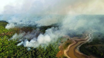 COP30 và chủ nhà Brazil: Bàn chuyện khí hậu ở "cửa ngõ" vào rừng Amazon