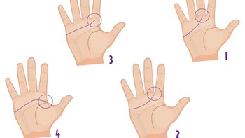 Quiz: Bạn thông minh, tham vọng hay kiên nhẫn và chân thành?