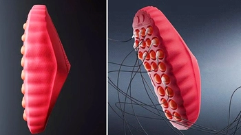 Tuyển Anh mang giày ‘thay đổi tâm trí’ trước trận gặp Serbia