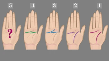 Quiz: Bạn cởi mở, nhân hậu hay là người thông minh