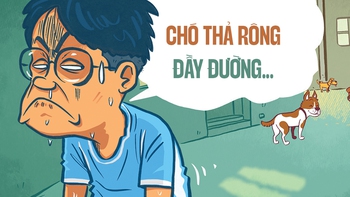 Chó thả rông và nỗi sợ '3 mũi 900 ngàn'