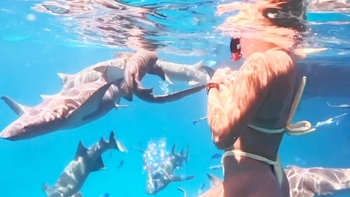 Nữ tay vợt số 1 thế giới Sabalenka gây sốt khi bơi cùng đàn cá mập