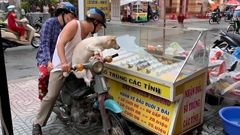 Ảnh vui 18-11: 'Lựa tờ vé số đi ba, trúng lên voi, trật xuống làm bạn với con'