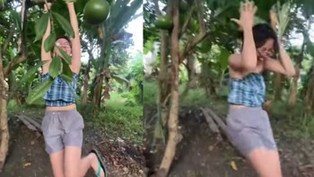 Nhà có cô con gái 'thùy mị nết na'