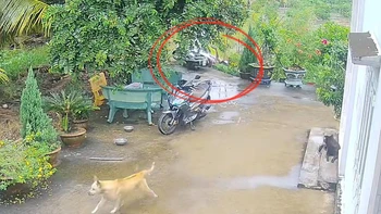 Thanh niên ngã sấp mặt vì sân bê tông trơn