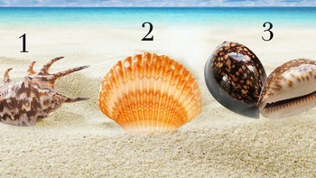 Quiz: Bạn ghét sự mơ hồ hay muốn hoàn thành mọi việc một cách hoàn hảo?