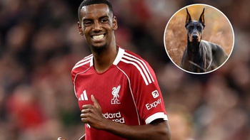 Alexander Isak mua chó 1 tỉ đồng làm ‘vệ sĩ’ sau khi bị dọa giết