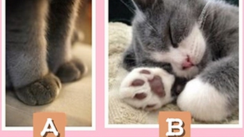 Quiz: Chỉ số hạnh phúc bạn mang đến cho người ấy cao hay thấp?