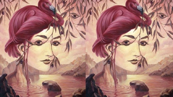 Quiz: Bạn nhạy bén, giàu cảm xúc hay là người quyết đoán?