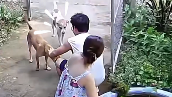 Sống chung một nhà sao mà đứa thương đứa ghét