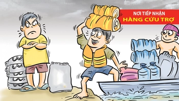 Xin hãy cứu trợ đúng cách