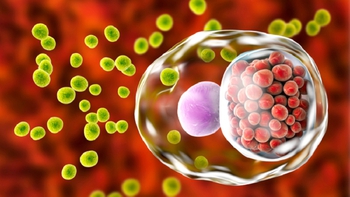 Quan hệ đồng giới không an toàn, nam thanh niên viêm họng do tác nhân hiếm gặp