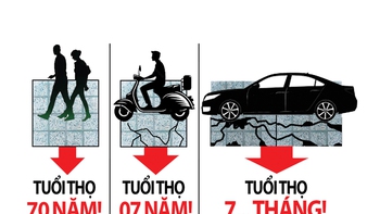 Tuổi thọ của đá lát vỉa hè là 70 năm hay 7 tháng?