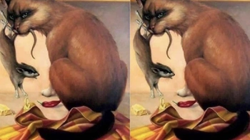 Quiz: Bạn mạnh mẽ, thẳng thắn hay là người nhạy cảm, dễ xúc động