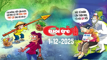Tuổi Trẻ Cười số 1-12-2025: Khi tiền rau đau hơn tiền thịt