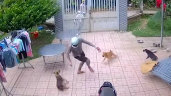 Chàng trai đi mời thiệp cưới bất ngờ bị chó tặng '3 mũi 900k'