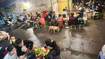 Ảnh vui 4-11: Cậu Vàng 'hot' nhất mạng xã hội lúc này