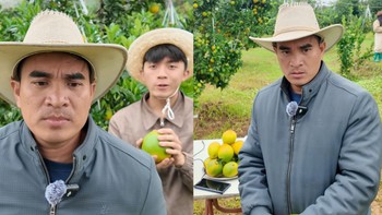 Ông chú bán cam online khóc thét vì toàn gặp 'thượng đế' trời ơi đất hỡi