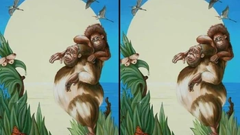 Quiz: Bạn nhân hậu hay là người hào phóng