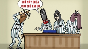 Đinh tặc hội ngộ cùng các loại 'tặc'