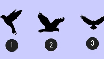 Quiz: Bạn là người hướng nội hay hướng ngoại?