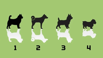 Quiz: Mọi người xung quanh nhìn nhận, đánh giá bạn thế nào?