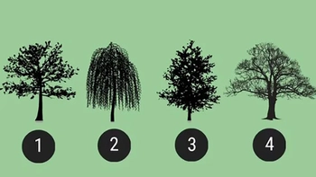 Quiz: Bạn đang ở giai đoạn nào trong cuộc đời?