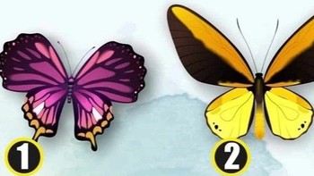 Quiz: Bạn lạnh lùng, khó gần hay là người dễ thương, hồn nhiên