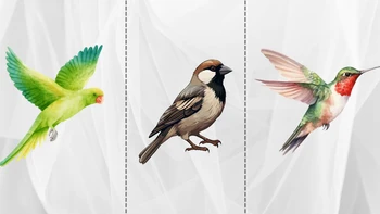 Quiz: Bạn cởi mở, sáng tạo hay là người chu đáo và trung thành