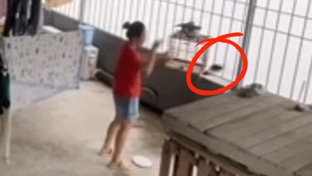 Vợ thả chim chồng nuôi, xong quay đi như chưa có chuyện gì xảy ra