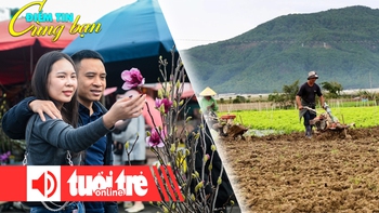 Điểm tin 18h: Không để TP.HCM thiếu rau Tết; Chơi hoa sớm đón Tết