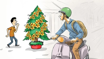 Chưa Noel đã phải lo cái Tết