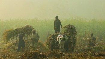 Lại một năm mờ mịt vì ô nhiễm không khí