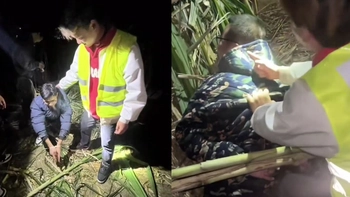 Nơi có du khách mê mệt hóa thân thành... kẻ trộm mía