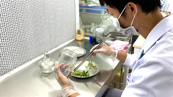 69 nhà khoa học xuất sắc từ nhiều nước về làm việc tại Đại học Quốc gia TP.HCM